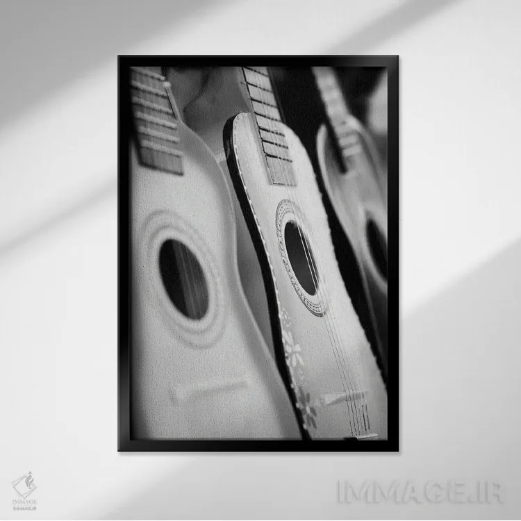 تابلو دکوراتیو هارمونیک ها اثر دانیتا دلیمنت - نمای قابدار مشکی