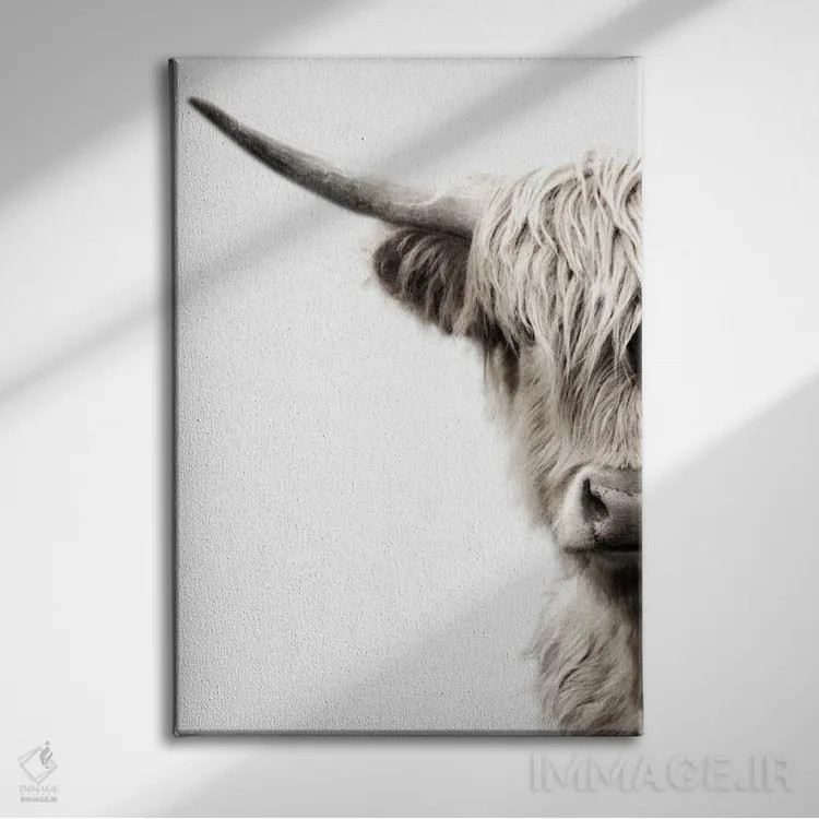 تابلو مدرن گاوهای هایلند اثر دانیتا دلیمنت - نمای روبهرو روی دیوار