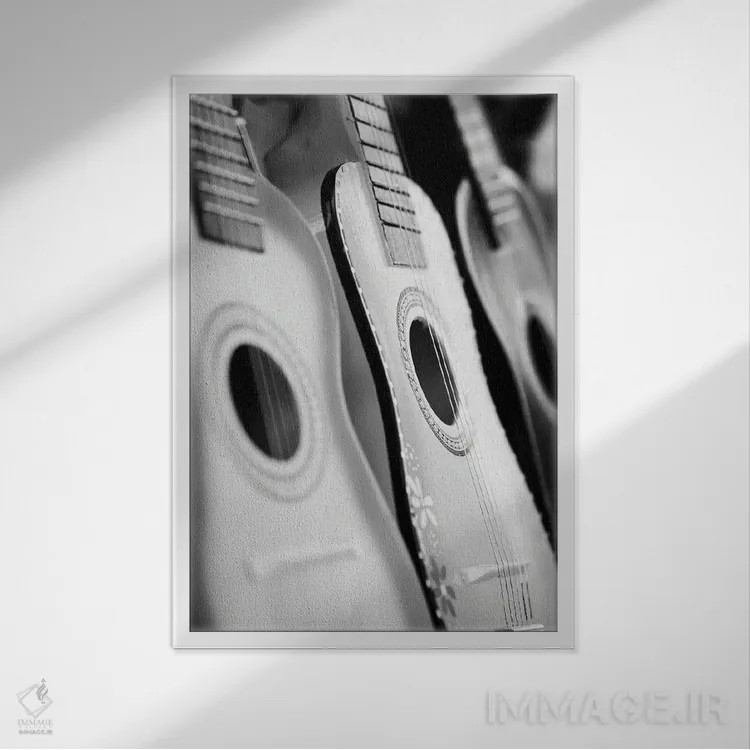 تابلو دکوراتیو هارمونیک ها اثر دانیتا دلیمنت - نمای قابدار سفید