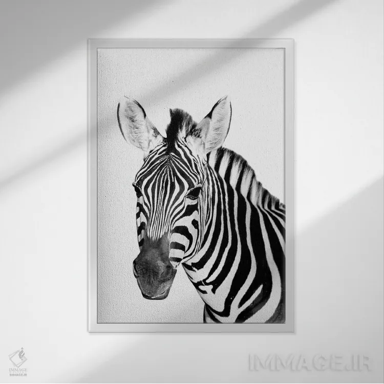 تابلو دکوراتیو گورخر سافاری اثر دانیتا دلیمنت - نمای قابدار سفید