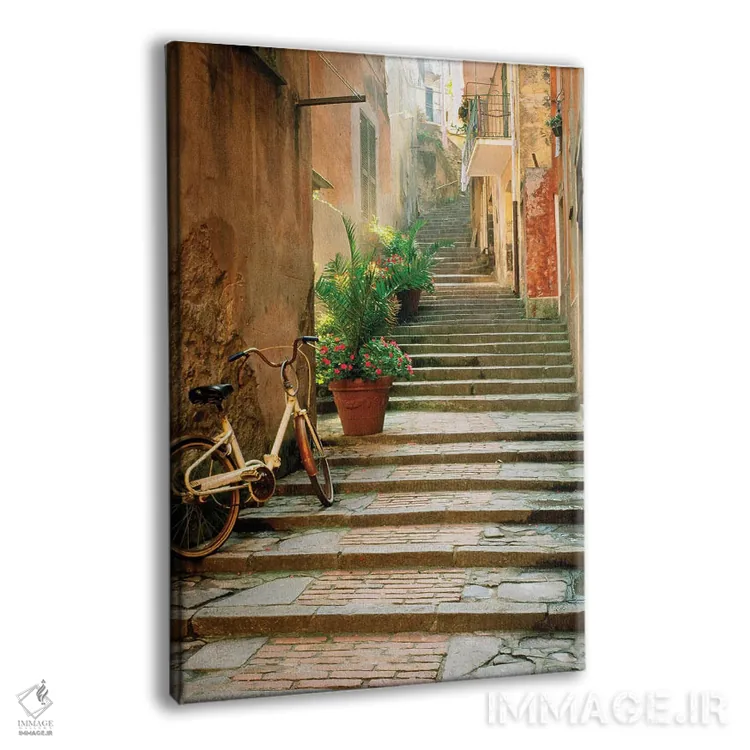 تابلو دکوراتیو چینکو تره اثر دانیتا دلیمنت - نمای پرسپکتیو محصول