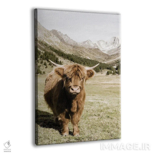 تابلو دکوراتیو کوه های اوتسال آلپ اثر دانیتا دلیمنت - نمای پرسپکتیو محصول