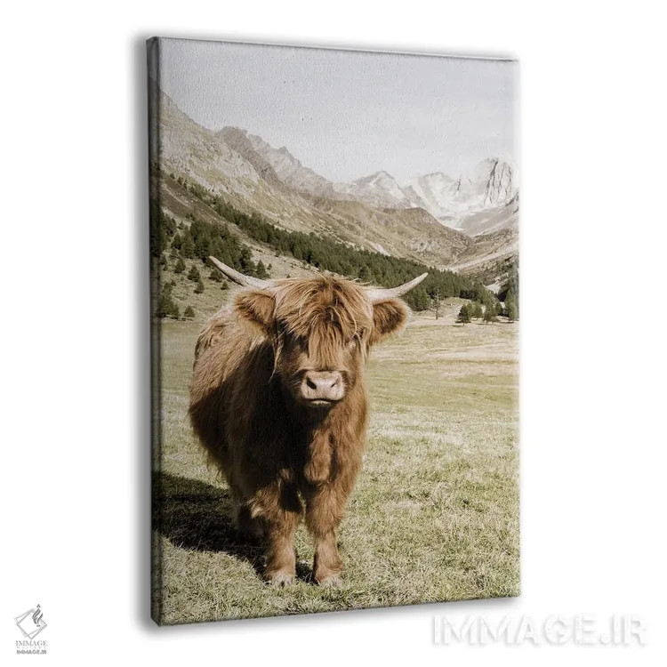 تابلو دکوراتیو کوه های اوتسال آلپ اثر دانیتا دلیمنت - نمای پرسپکتیو محصول