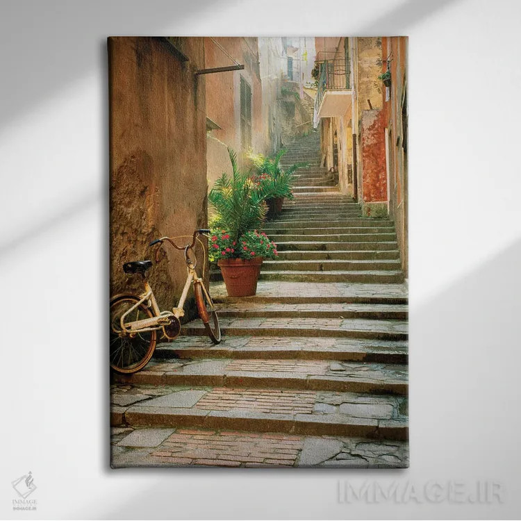 تابلو دکوراتیو چینکو تره اثر دانیتا دلیمنت - نمای روبهرو روی دیوار