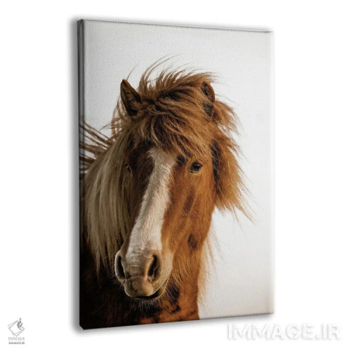 تابلو دکوراتیو نور غروب اثر دانیتا دلیمنت - نمای پرسپکتیو محصول