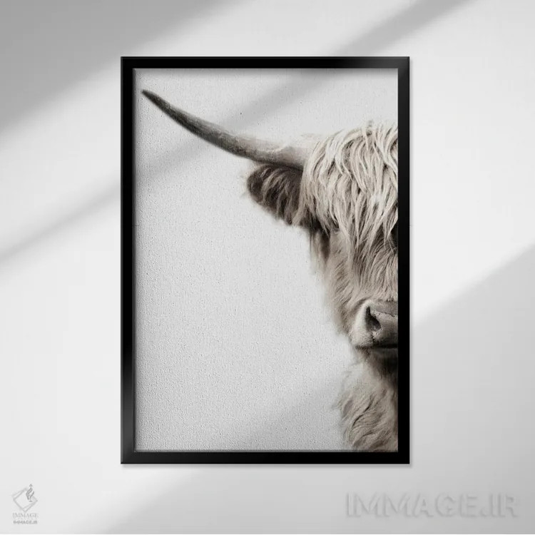 تابلو مدرن گاوهای هایلند اثر دانیتا دلیمنت - نمای قابدار مشکی