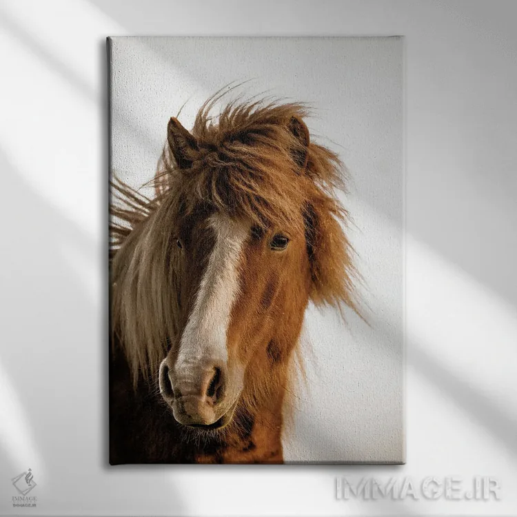 تابلو دکوراتیو نور غروب اثر دانیتا دلیمنت - نمای روبهرو روی دیوار