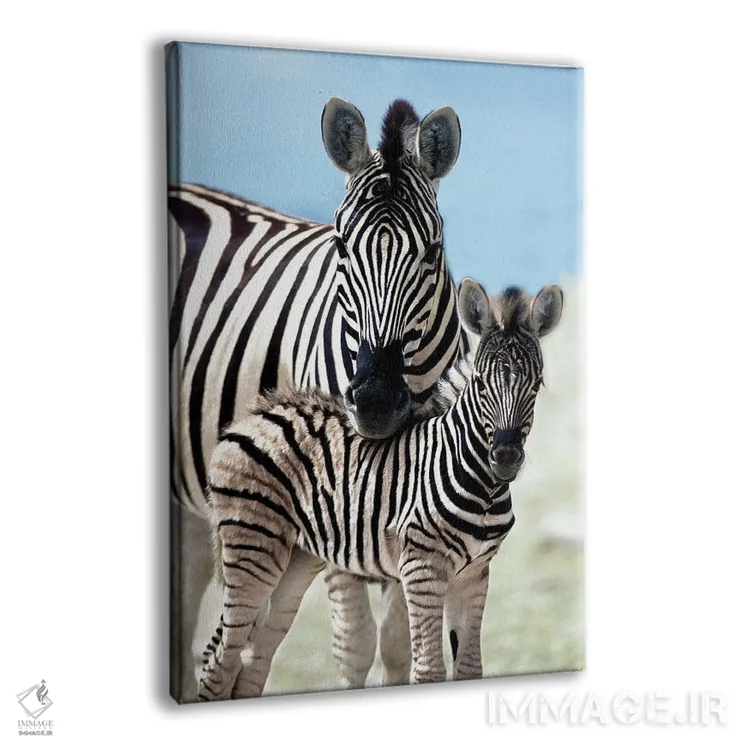 تابلو دکوراتیو خانواده ای از نامیبیا اثر دانیتا دلیمنت - نمای پرسپکتیو محصول