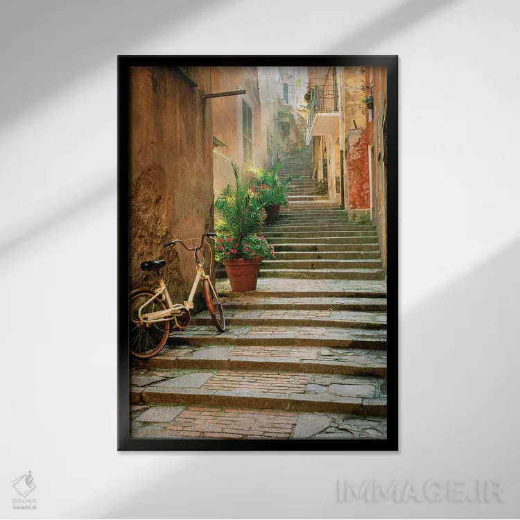 تابلو دکوراتیو چینکو تره اثر دانیتا دلیمنت - نمای قابدار مشکی