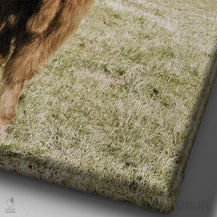 تابلو دکوراتیو کوه های اوتسال آلپ اثر دانیتا دلیمنت - نمای نزدیک بافت بوم