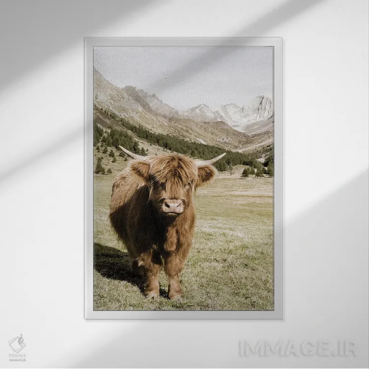 تابلو دکوراتیو کوه های اوتسال آلپ اثر دانیتا دلیمنت - نمای قابدار سفید