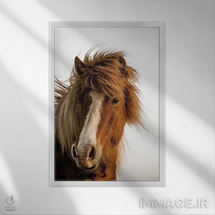 تابلو دکوراتیو نور غروب اثر دانیتا دلیمنت - نمای قابدار سفید