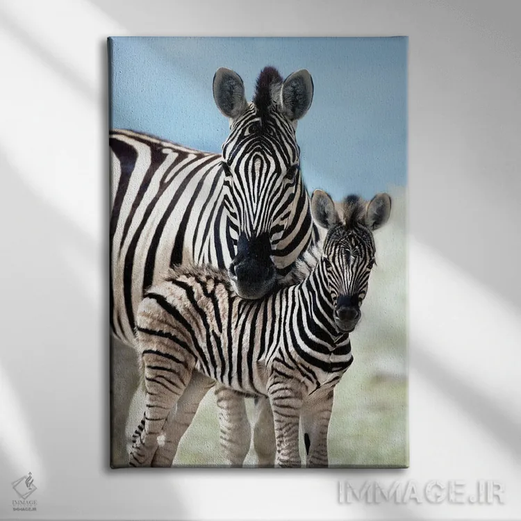 تابلو دکوراتیو خانواده ای از نامیبیا اثر دانیتا دلیمنت - نمای روبهرو روی دیوار