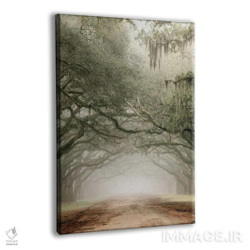 تابلو دکوراتیو خیابان مزرعه اثر دانیتا دلیمنت - نمای پرسپکتیو محصول