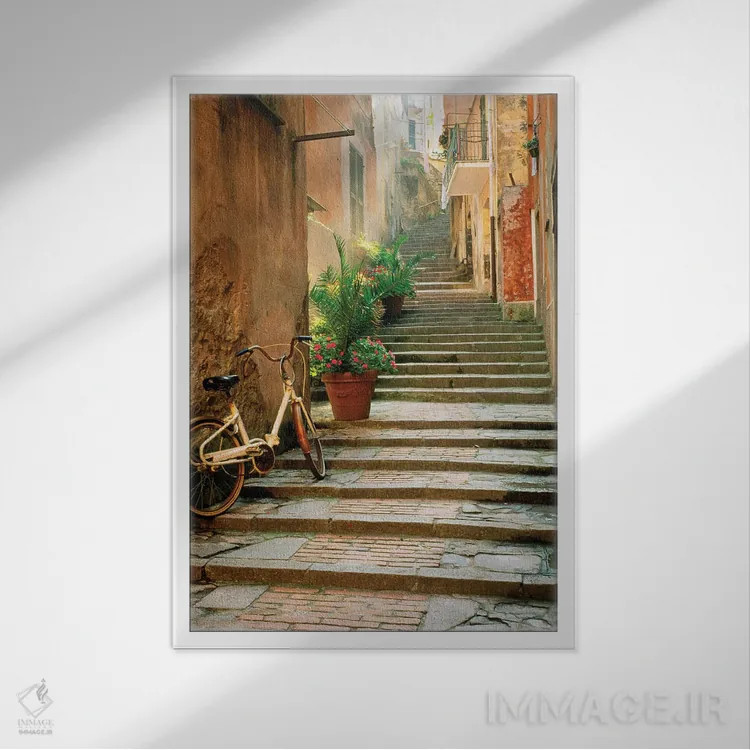 تابلو دکوراتیو چینکو تره اثر دانیتا دلیمنت - نمای قابدار سفید