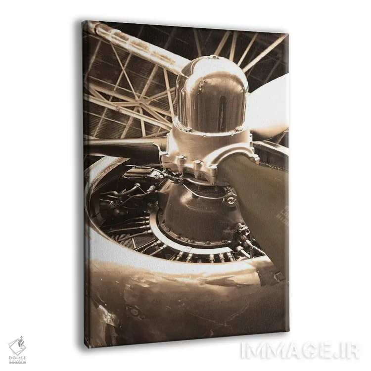 تابلو دکوراتیو هواپیمای دی سی ۴ اثر دانیتا دلیمنت - نمای پرسپکتیو محصول