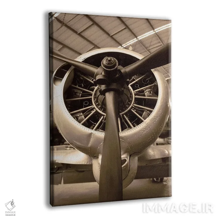 تابلو دکوراتیو جنگنده جنگ جهانی دوم اثر دانیتا دلیمنت - نمای پرسپکتیو محصول