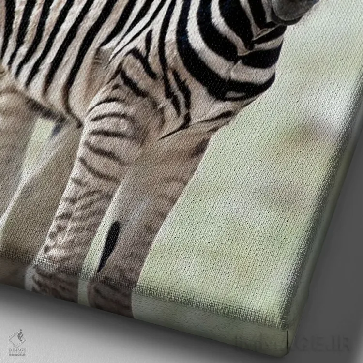 تابلو دکوراتیو خانواده ای از نامیبیا اثر دانیتا دلیمنت - نمای نزدیک بافت بوم