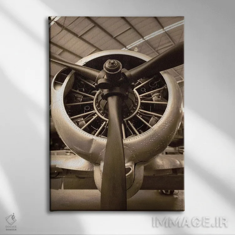 تابلو دکوراتیو جنگنده جنگ جهانی دوم اثر دانیتا دلیمنت - نمای روبهرو روی دیوار