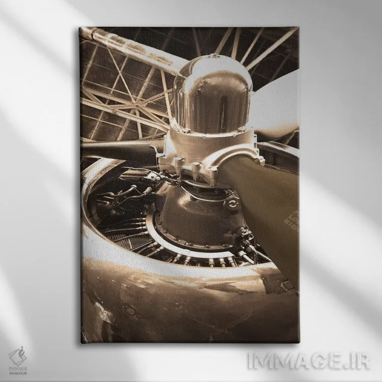تابلو دکوراتیو هواپیمای دی سی ۴ اثر دانیتا دلیمنت - نمای روبهرو روی دیوار