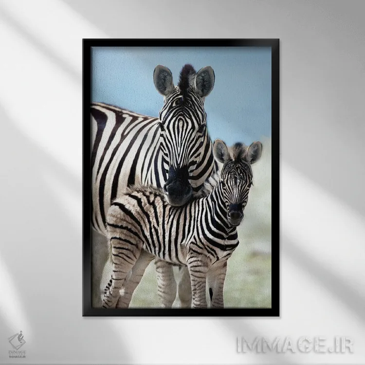 تابلو دکوراتیو خانواده ای از نامیبیا اثر دانیتا دلیمنت - نمای قابدار مشکی