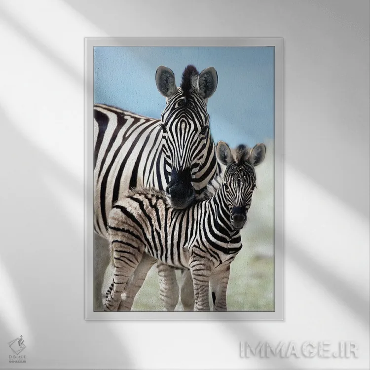 تابلو دکوراتیو خانواده ای از نامیبیا اثر دانیتا دلیمنت - نمای قابدار سفید