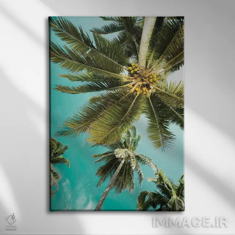 تابلو دکوراتیو نخل ها به بالا اثر دانیتا دلیمنت - نمای روبهرو روی دیوار