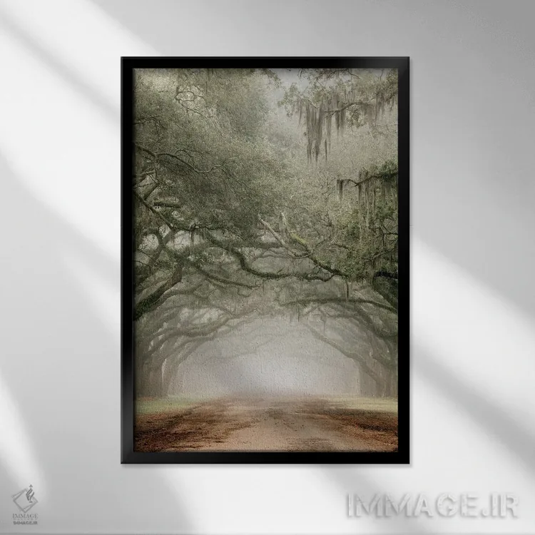 تابلو دکوراتیو خیابان مزرعه اثر دانیتا دلیمنت - نمای قابدار مشکی