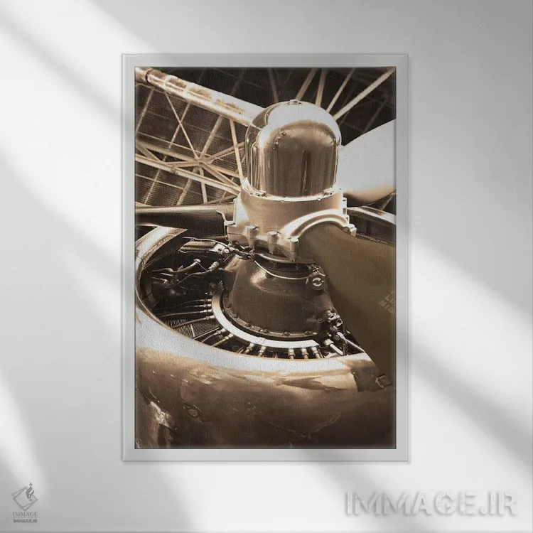 تابلو دکوراتیو هواپیمای دی سی ۴ اثر دانیتا دلیمنت - نمای قابدار سفید