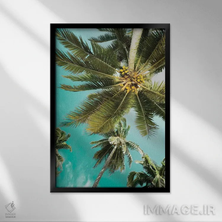 تابلو دکوراتیو نخل ها به بالا اثر دانیتا دلیمنت - نمای قابدار مشکی
