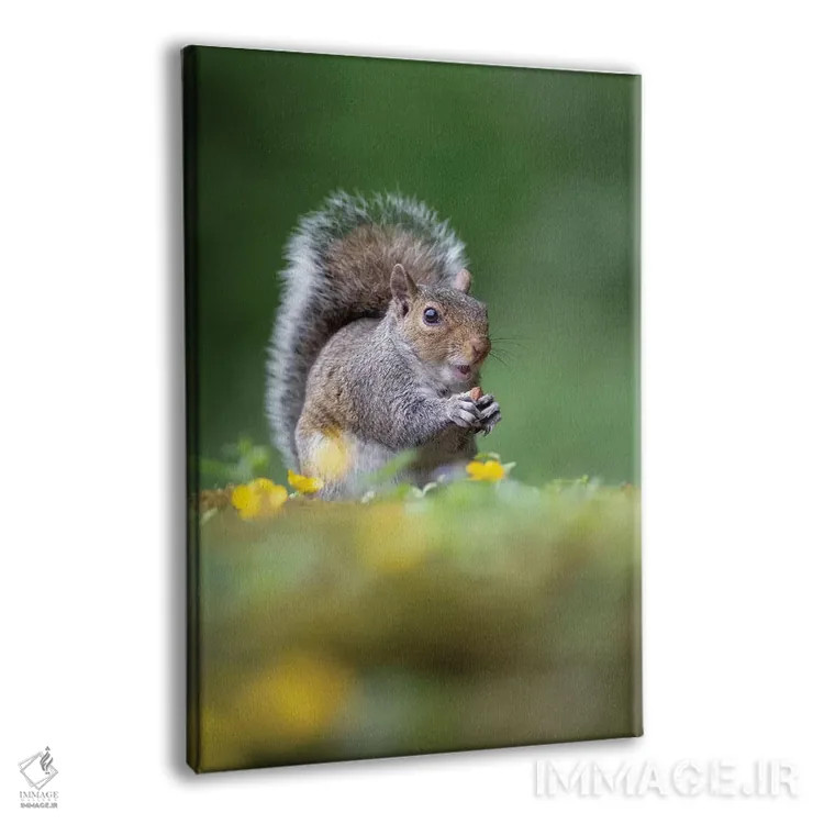 تابلو دکوراتیو دزد فندق اثر باور میسون - نمای پرسپکتیو محصول