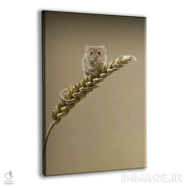 تابلو مدرن حین انجام کار غافلگیر شد اثر باور میسون - نمای پرسپکتیو محصول