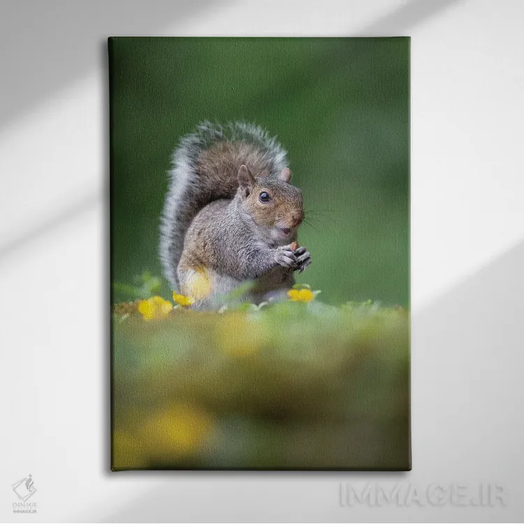 تابلو دکوراتیو دزد فندق اثر باور میسون - نمای روبهرو روی دیوار