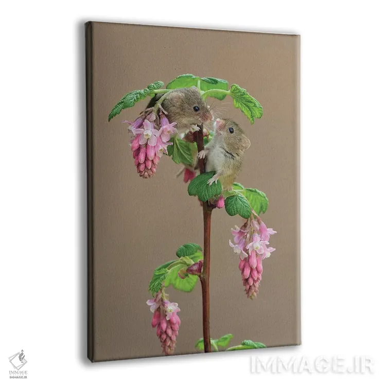 تابلو دکوراتیو چه جالب اینجا تو را دیدم! اثر باور میسون - نمای پرسپکتیو محصول