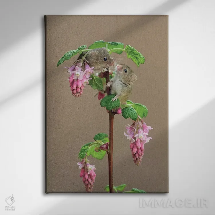 تابلو دکوراتیو چه جالب اینجا تو را دیدم! اثر باور میسون - نمای روبهرو روی دیوار