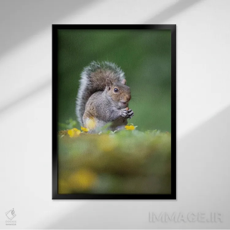 تابلو دکوراتیو دزد فندق اثر باور میسون - نمای قابدار مشکی