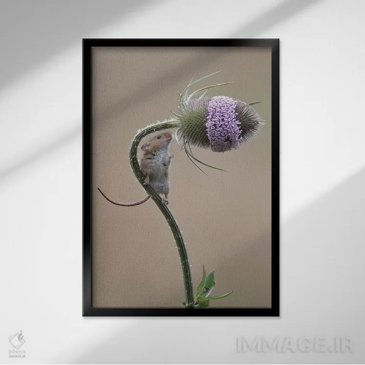 تابلو دکوراتیو تقریبا رسیده ایم اثر باور میسون - نمای قابدار مشکی