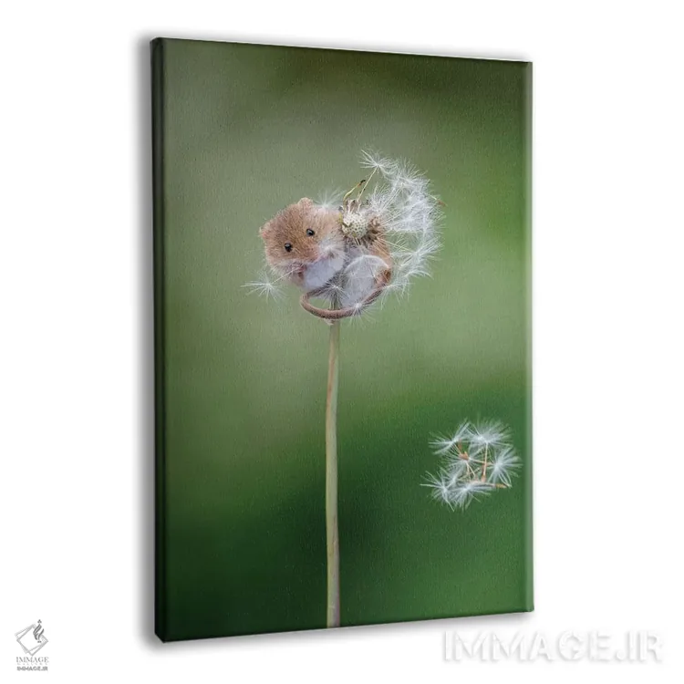 تابلو دکوراتیو مزرعه رویاها اثر باور میسون - نمای پرسپکتیو محصول