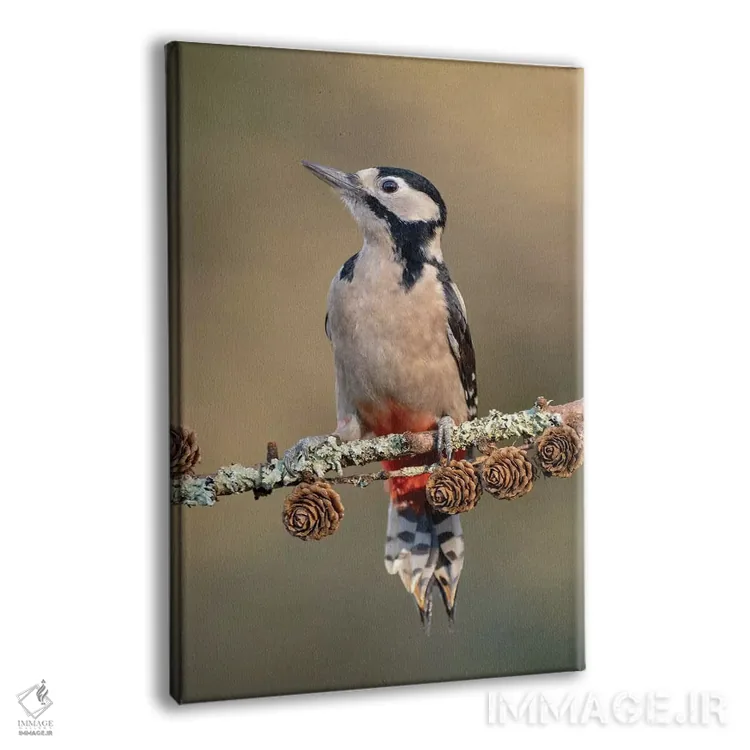 تابلو دکوراتیو دارکوب خالدار بزرگ روی مخروط کاج لاریکس اثر باور میسون - نمای پرسپکتیو محصول