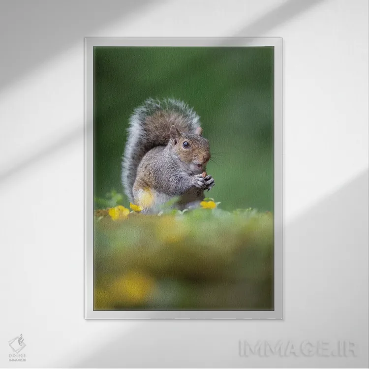 تابلو دکوراتیو دزد فندق اثر باور میسون - نمای قابدار سفید