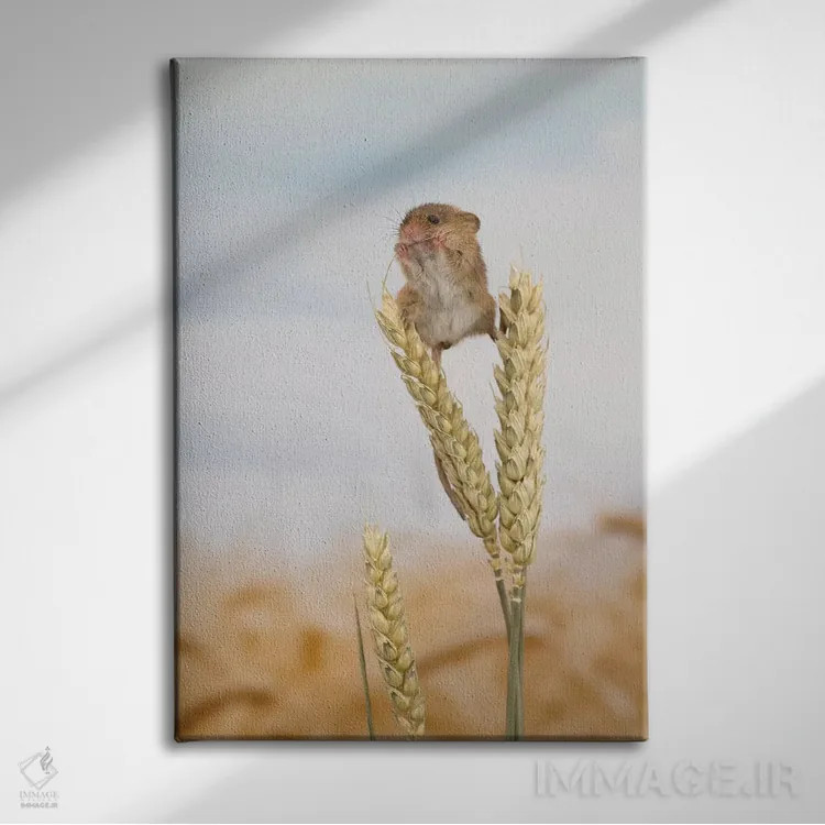 تابلو مدرن ناهار در بلندی اثر باور میسون - نمای روبهرو روی دیوار