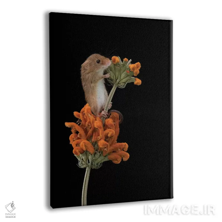 تابلو مدرن ردپای نارنجی اثر باور میسون - نمای پرسپکتیو محصول