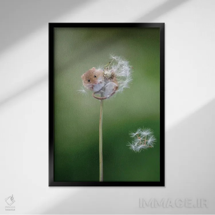 تابلو دکوراتیو مزرعه رویاها اثر باور میسون - نمای قابدار مشکی