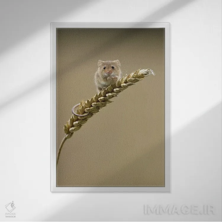 تابلو مدرن حین انجام کار غافلگیر شد اثر باور میسون - نمای قابدار سفید