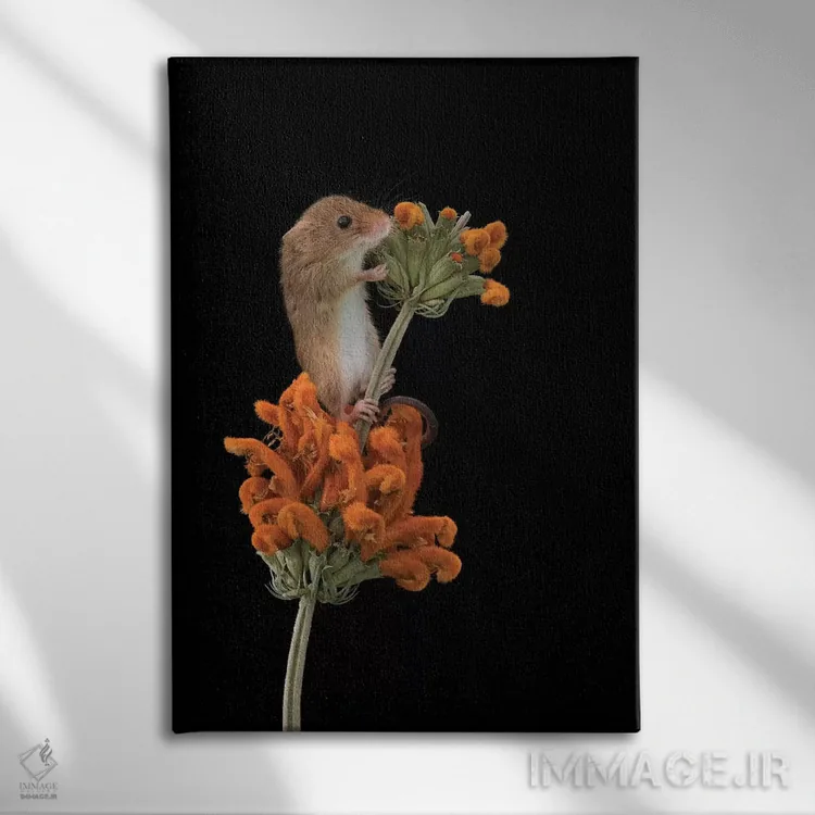 تابلو مدرن ردپای نارنجی اثر باور میسون - نمای روبهرو روی دیوار