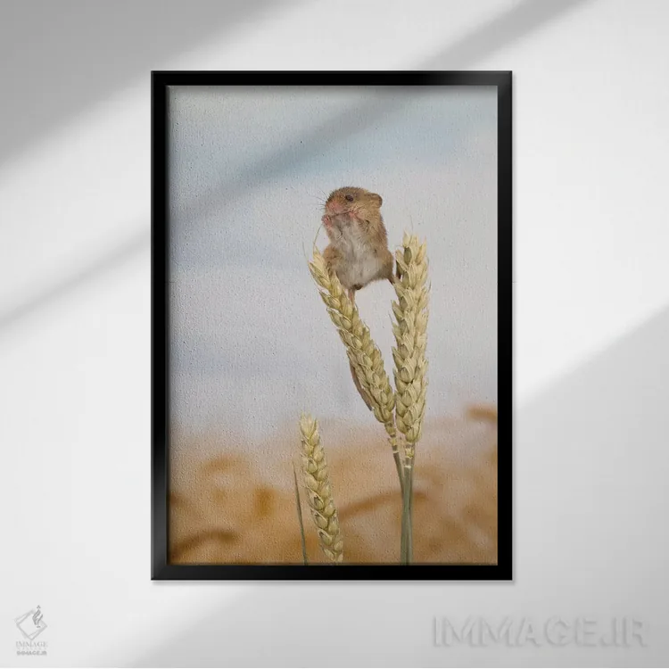 تابلو مدرن ناهار در بلندی اثر باور میسون - نمای قابدار مشکی