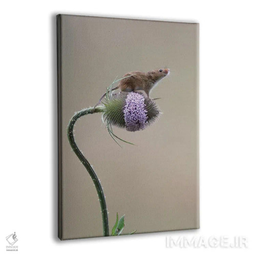 تابلو دکوراتیو موفق شدم اثر باور میسون - نمای پرسپکتیو محصول