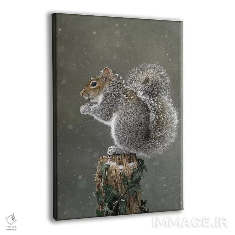 تابلو دکوراتیو اینجا بالا خیلی سرد است اثر باور میسون - نمای پرسپکتیو محصول