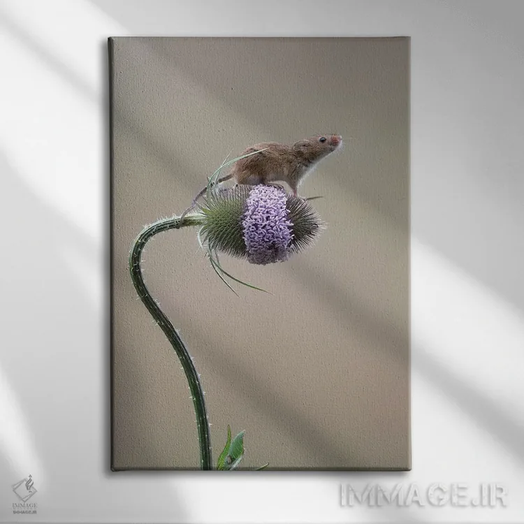 تابلو دکوراتیو موفق شدم اثر باور میسون - نمای روبهرو روی دیوار