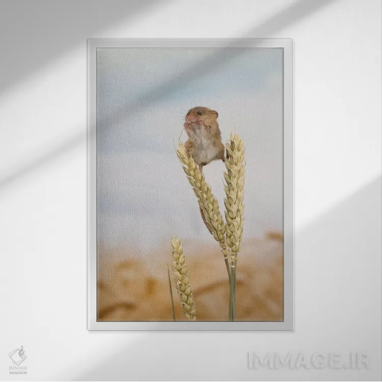 تابلو مدرن ناهار در بلندی اثر باور میسون - نمای قابدار سفید